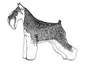 LegacyMS logo