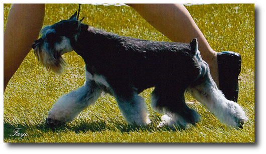 Rocky moving